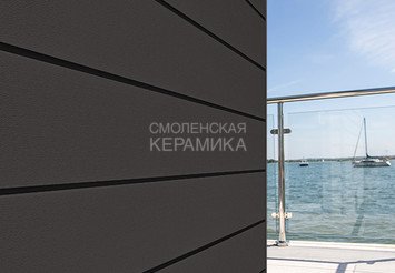 Доска Cedral Click Smooth 3600 mm C04 Ночной лес