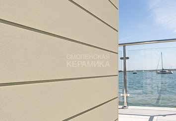 Доска Cedral Click Smooth 3600 mm C08 Берёзовая роща