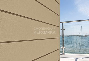 Доска Cedral Click Smooth 3600 mm C11 Золотой песок