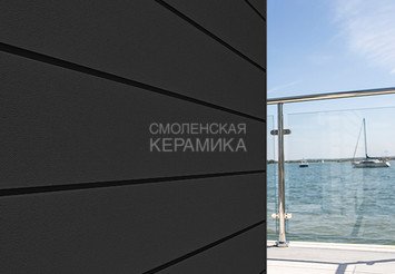 Доска Cedral Click Smooth 3600 mm C50 Тёмный минерал