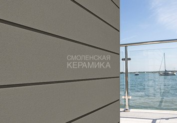 Доска Cedral Click Smooth 3600 mm C59 Дождливый лес