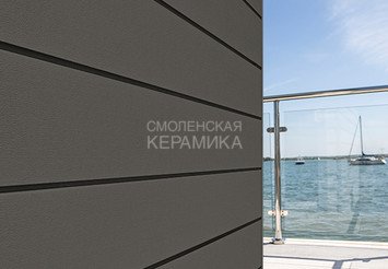 Доска Cedral Click Smooth 3600 mm C60 Сумеречный лес