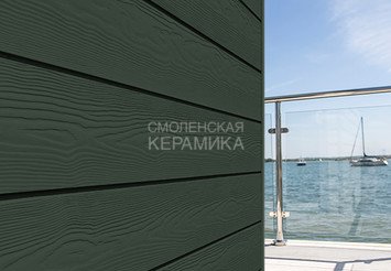 Доска Cedral Click Wood 3600 mm C31 Зеленый океан
