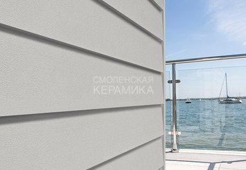 Доска Cedral Lap Smooth 3600 mm C51 Серебристый минерал