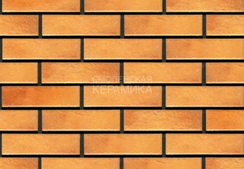 Фасадная термопанель рядовая АЛЯСКА 25. Retro brick curry, 60 мм