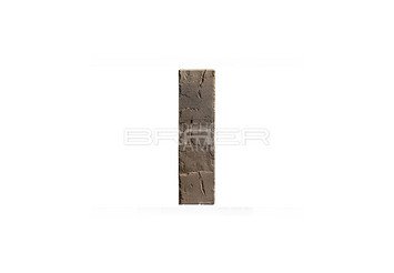 Кирпич керамический BRAER PRO 14.04.1, 1 НФ