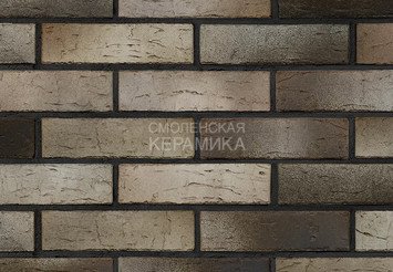 Кирпич керамический BRAER PRO 14.04.1, 1 НФ