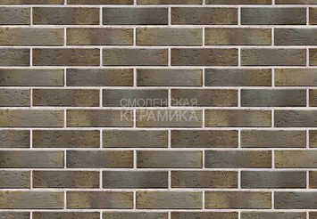 Кирпич керамический BRAER PRO 2.10, 1 НФ