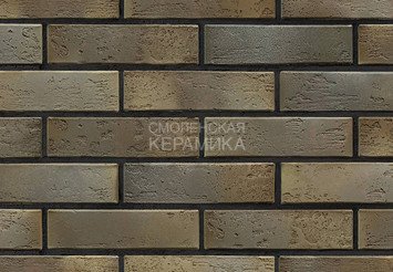 Кирпич керамический BRAER PRO 2.10, 1 НФ