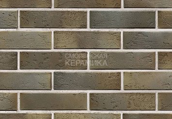 Кирпич керамический BRAER PRO 2.10, 1 НФ