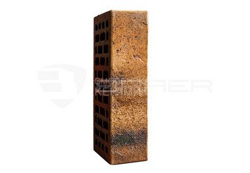 Кирпич керамический BRAER PRO 3.03 1 НФ
