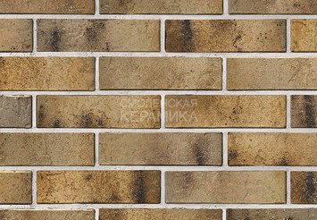 Кирпич керамический BRAER PRO 3.03 1 НФ