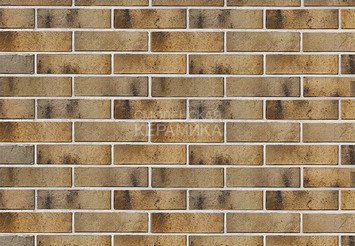 Кирпич керамический BRAER PRO 3.03 1 НФ