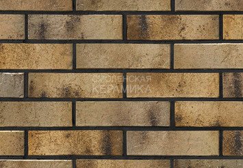 Кирпич керамический BRAER PRO 3.03 1 НФ