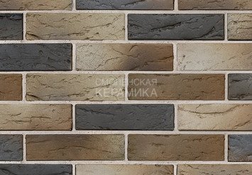 Кирпич керамический BRAER PRO 5.06, 1 НФ