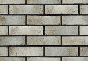 Кирпич керамический BRAER PRO 72.03, 1 НФ