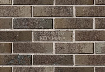 Кирпич керамический BRAER PRO 78.09, 1 НФ