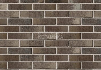 Кирпич керамический BRAER PRO 78.09, 1 НФ