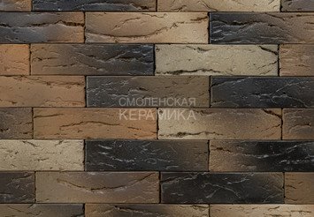 Кирпич керамический BRAER PRO X.1.06, 1 НФ
