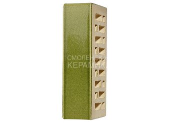 Кирпич керамический глазурованный RECKE GLANZ 1НФ арт. 1-28-02-0-00