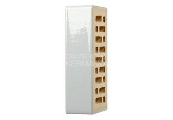 Кирпич керамический глазурованный RECKE GLANZ 1НФ арт. 1-88-01-0-00