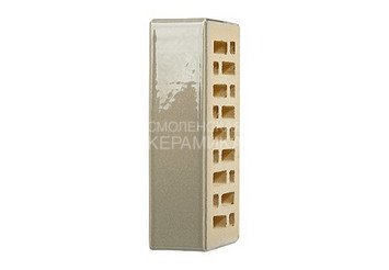 Кирпич керамический глазурованный RECKE GLANZ 1НФ арт. 1-88-02-0-00