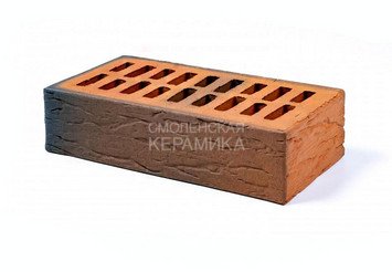 Кирпич лицевой пустотелый 1НФ "Пятый Элемент" Регенсбург руст