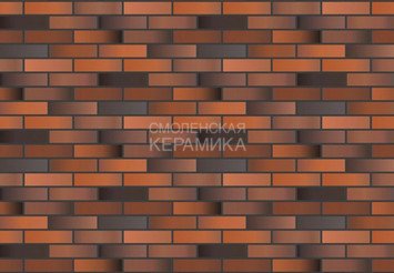 Кирпич лицевой пустотелый 1НФ "Пятый Элемент" Регенсбург руст