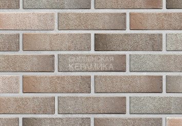 Кирпич облицовочный БРАЕР КЛАДКА Дакар Терра, 1 НФ