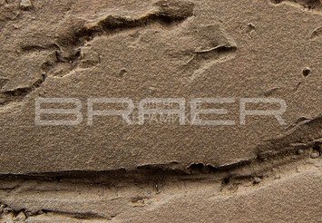 Кирпич облицовочный БРАЕР КЛАДКА кора дуба, 1 НФ