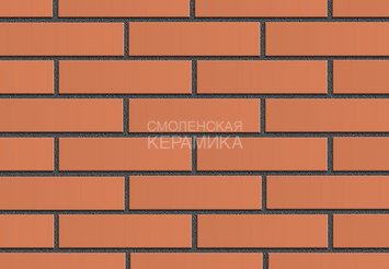 Кирпич облицовочный керамический ЖКЗ Красный Гладкий 1НФ