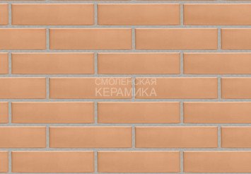 Кирпич облицовочный керамический ЖКЗ Персиковый Гладкий 0,7НФ