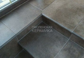Клинкерная ступень WESTERWAELDER серия "ATRIUM" WK31180 Mocca