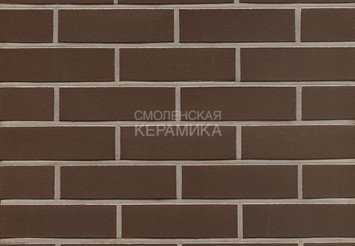 Клинкерный кирпич Feldhaus Klinker K500NF geo liso