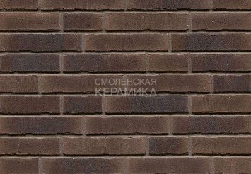 Клинкерный кирпич Feldhaus Klinker K745DF vascu geo venito