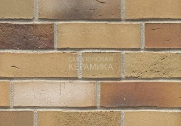 Клинкерный кирпич Feldhaus Klinker K915NF vario sabiosa elabi