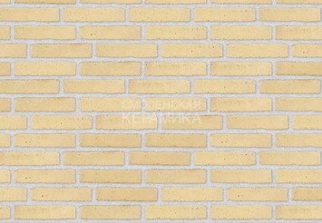 Клинкерный состаренный кирпич Randers Tegl Classica RT 207, ECO-DNF 228X50X54 мм