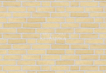 Клинкерный состаренный кирпич Randers Tegl Classica RT 207, ECO-DNF 228X50X54 мм