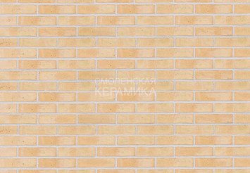 Клинкерный состаренный кирпич Randers Tegl Classica RT 210, DNF 228X108X54 мм