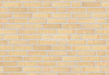 Клинкерный состаренный кирпич Randers Tegl Classica RT 215, ECO-DNF 228X50X54 мм