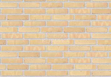 Клинкерный состаренный кирпич Randers Tegl Classica RT 215, ECO-DNF 228X50X54 мм