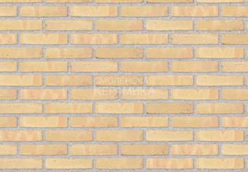 Клинкерный состаренный кирпич Randers Tegl Classica RT 215, ECO-DNF 228X50X54 мм