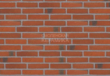 Клинкерный состаренный кирпич Randers Tegl Classica RT 406, ECO-DNF 228X50X54 мм