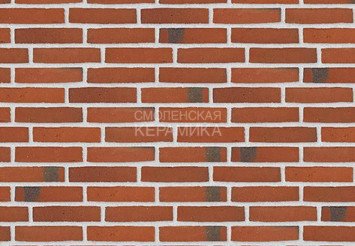 Клинкерный состаренный кирпич Randers Tegl Classica RT 406, ECO-DNF 228X50X54 мм