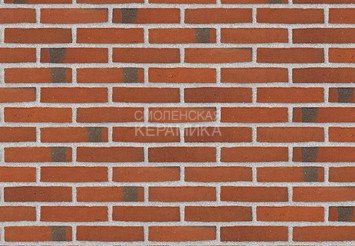 Клинкерный состаренный кирпич Randers Tegl Classica RT 406, ECO-DNF 228X50X54 мм