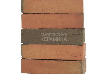 Клинкерный состаренный кирпич Randers Tegl Classica RT 418, DNF 228X108X54 мм