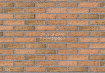 Клинкерный состаренный кирпич Randers Tegl Classica RT 433, ECO-DNF 228X50X54 мм