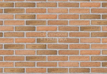 Клинкерный состаренный кирпич Randers Tegl Classica RT 433, ECO-DNF 228X50X54 мм