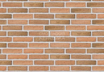 Клинкерный состаренный кирпич Randers Tegl Classica RT 433, ECO-DNF 228X50X54 мм