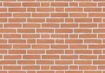 Клинкерный состаренный кирпич Randers Tegl Classica RT 435, ECO-DNF 228X50X54 мм